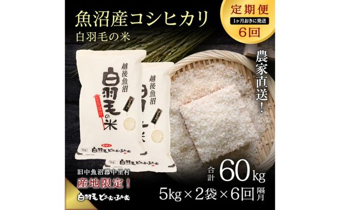 【通年受付】≪令和8年産≫【定期便／1ヶ月おき全6回】農家直送！魚沼産コシヒカリ「白羽毛の米」精米 (5kg×2袋)×6回 60kg お米