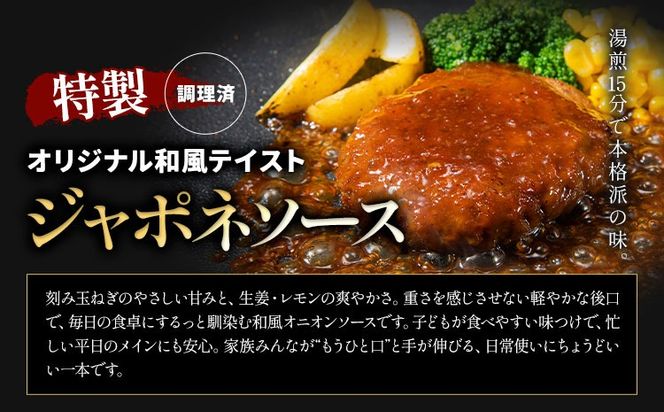 ハンバーグ 鉄板焼き 肉肉ハンバーグ 選べるソース デミグラスソース ジャポネソース 食べ比べ 20個 《1月出荷予定》熊本県 国産 牛肉 豚肉 鶏肉 ハンバーグ 専門店監修 小分け デミ ジャポネ 肉---oz_fhr_ac1_r7_10000_20i_n---