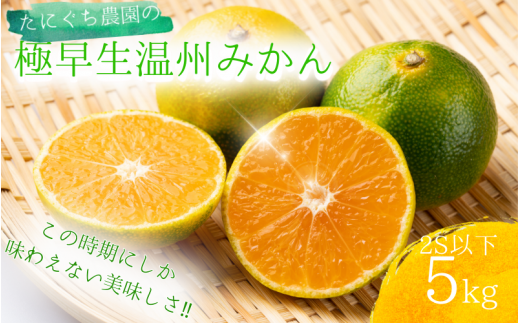 みかん 【先行予約】2S以下 たにぐち農園の極早生温州みかん(マルチ栽培) 5kg【2025年9月下旬～10月下旬に順次発送】 / ご家庭用 家庭用 不揃い 極早生 早生 温州 みかん 蜜柑【mtn004A】