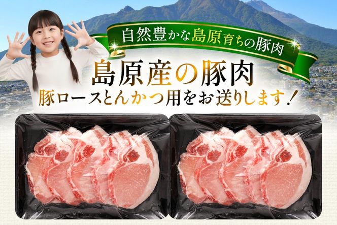 AK032 豚ロース とんかつ用 500g 2パック 計1kg [ 豚肉 ぶた肉 ロース 小分け 肉 お肉 とんかつ 1キロ BBQ バーベキュー 焼肉 アウトドア 1キロ スターゼン 長崎県 島原市 ]