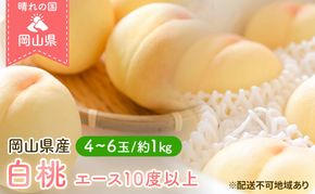 桃 2026年 先行予約 岡山 白桃 エース 4～6玉 約1kg JA おかやま のもも（早生種・中生種） もも モモ 岡山県産 国産 フルーツ 果物 ギフト 