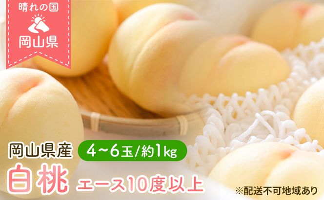 桃 2026年 先行予約 岡山 白桃 エース 4～6玉 約1kg JA おかやま のもも（早生種・中生種） もも モモ 岡山県産 国産 フルーツ 果物 ギフト 