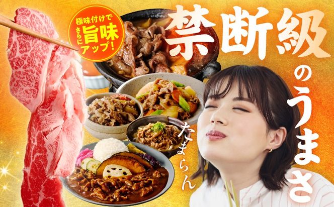 mrz0360 国産牛 切り落とし 600g 小分け 300g×2P【氷温熟成×極味付け 国産 牛肉 訳あり サイズ不揃い カレー 牛丼 野菜炒め 肉じゃが 家計応援】