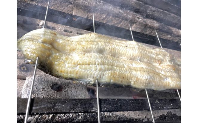 【骨抜き】特選国産雌うなぎ 白焼き1尾160g以上（秘伝タレ付き） osge0001