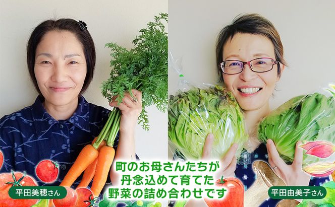 【定期便 年6回】おいしかぁ～便 詰め合わせセット 6ヶ月 お楽しみ ファミリーセット 家族用 野菜 やさい 米 新鮮 新鮮野菜 家庭用 新鮮 福岡県 大刀洗町