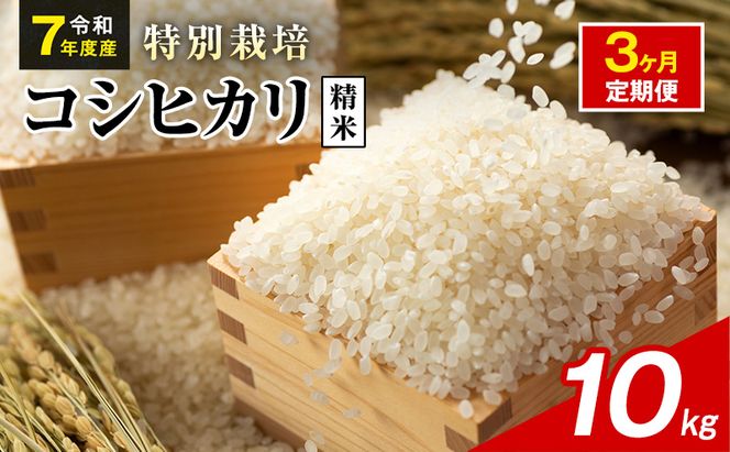 令和7年産 特別栽培米 コシヒカリ 白米 10kg 静岡県産 色彩選別済 食に意識高い方へオススメ 3ヶ月定期便