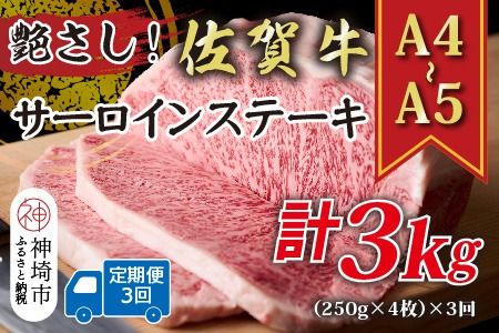 【3か月定期便】艶さし！【A4～A5】佐賀牛サーロインステーキ 1kg(250g×4枚)×3回【肉 牛肉 ブランド牛 黒毛和牛 ステーキ肉 ふるさと納税】(H112196)