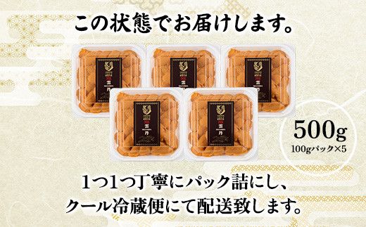 うに 極上 エゾバフンウニ 生うに 500g パック詰 | 雲丹 ウニ 高級 生ウニ 海産物 海鮮 ウニ丼 うに丼 人気 ふるさと納税 北海道 登別市
