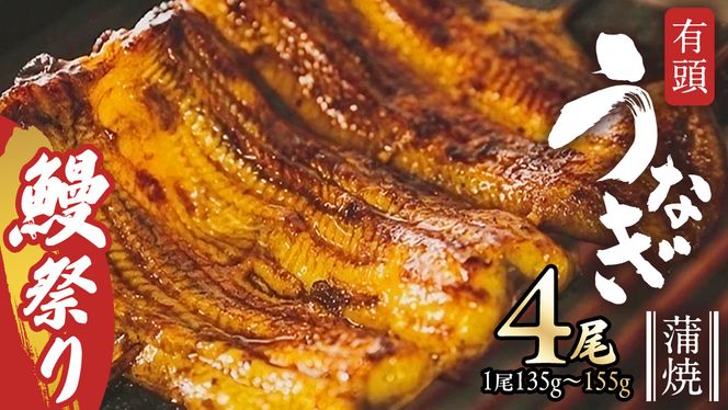 【牛久うなぎ祭り開催！期間限定の特別受付スタート】鹿児島県産 有頭 鰻 蒲焼 × 4尾 （ 1尾 135g ～ 155g 以上） 土用の丑の日 鰻祭り うなぎ ウナギ 土用丑の日 家庭用 贅沢 国産 旬 敬老の日 タレ 山椒 付 縁起