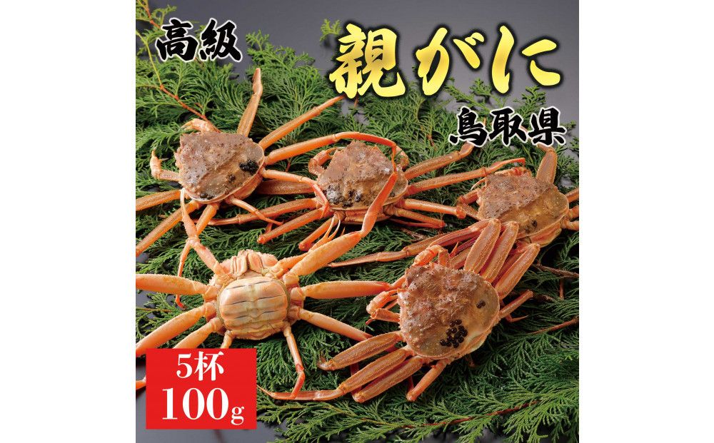 1071.[2025年11月発送]鳥取県産 特撰 親がに 姿[セコガニ](なま)[訳あり]100g 5杯 313726