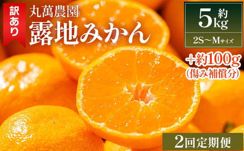みかん [2回定期便]露地みかん(2S〜Mサイズ) 5kg 家庭用 丸萬農園 - 果物 くだもの フルーツ 果実 柑橘 かんきつ 蜜柑 みかん ミカン 果汁 期間限定 訳アリ Wmn-0017