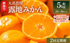 みかん 【２回定期便】露地みかん(2S～Mサイズ) 5kg 家庭用 丸萬農園 - 果物 くだもの フルーツ 果実 柑橘 かんきつ 蜜柑 みかん ミカン 果汁 期間限定 訳アリ Ｗmn-0017