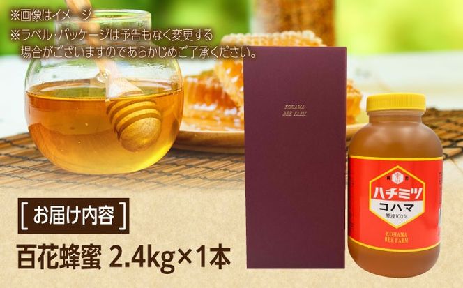 コハマのハチミツ 百花蜂蜜 2.4kg×1本 蜂蜜 はちみつ ハチミツ 国産 ギフト  沖縄市 / 農業生産法人株式会社小浜養蜂場[BCAQ006] 