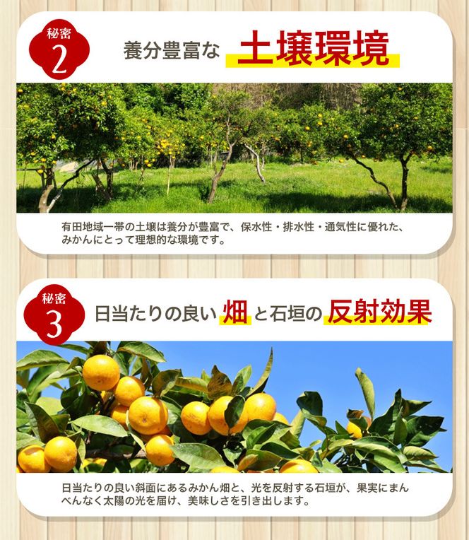 極 有田みかんプレミアム 約2kg【光センサー 高糖度選別品】2S～Lサイズ 有機質肥料100% ※2026年11月～2027年1月に順次発送予定 ※北海道・沖縄・離島への配送不可 【nuk154G】