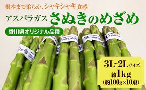 アスパラガス【さぬきのめざめ】3L・2Lサイズ1kg 野菜 夏野菜 