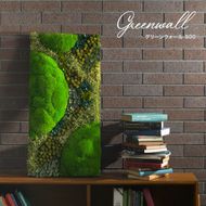 グリーンウォール800 花 お花 プリザーブドフラワー ギフト プレゼント お祝い 誕生日 お供え アレンジ インテリア 東京都 墨田区