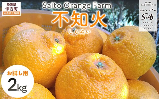 yQɕzys\zyIzSaito Orange Farm̕sm2kgi2026N2{菇j IKTAQ013