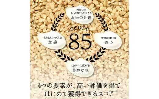 【9回定期】特別栽培米 コシヒカリ ヒロシノキモチ 精米 10kg 総計90kg ブランド米 銘柄米 国産 米 お米 日本米 ギフト 贈り物 備蓄 防災 食品 陽咲玲 はるざれ F6T-995