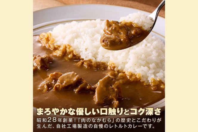 【B-191】「特製肉屋のカレー」ビーフカレー10食セット