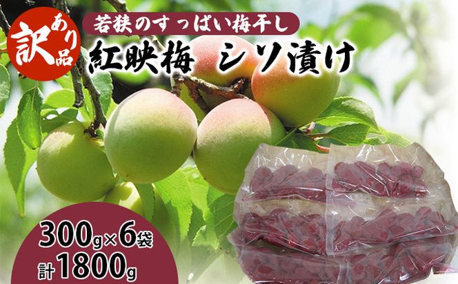 若狭のすっぱい梅干し　訳あり品（300gを6袋、合計1800g）紅映梅　シソ漬け しそ漬け 昔ながらのすっぱい 梅ぼし 塩分18％ 紅映梅は種が小さく肉厚 おにぎりの具 お弁当 