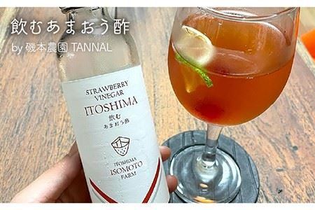 糸島 フルーツ ギフト 《 糸島 》【磯本農園 TANNAL・110west.inc・】【いとしまごころ】[ASD023]