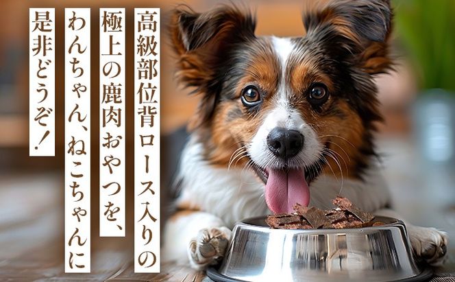 3ヵ月連続お届け 北海道エゾシカジャーキー50g×2袋 北海道産 国産 無添加 犬用ジャーキー 犬のおやつ 猫用ジャーキー 猫のおやつ ペットフード 鹿肉ジャーキー 【55251053】