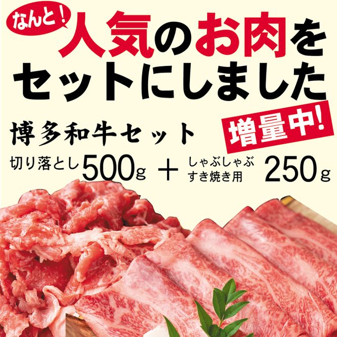 数量限定 博多和牛 A4～A5 しゃぶしゃぶ すき焼き 750g セット（スライス 250g・切り落とし 500g）配送不可：離島 