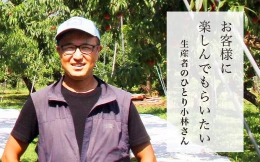 なつっこ 約3kg 7～12玉 ［おぶせファーマーズ］桃 もも モモ フルーツ 果物 クール便 冷蔵便 長野県産 信州産 令和7年産【2025年8月上旬〜中旬発送】 ［F-15］