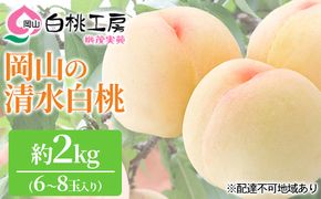 桃 2026年 先行予約 清水 白桃 2kg 6～8玉 もも モモ 岡山 国産 フルーツ 果物 ギフト 桃茂実苑 果肉 