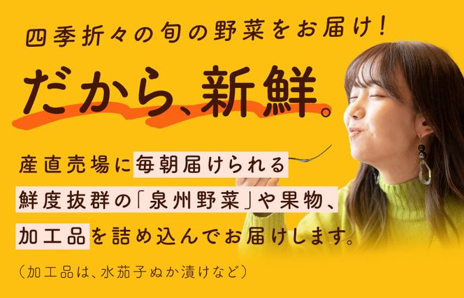 010B507 旬の野菜セット 15種類【国産 新鮮 おまかせ お楽しみ 旬 詰め合わせ 泉州野菜】