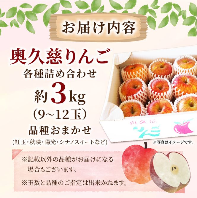 【先行予約】仲野りんご園の奥久慈りんご（各種詰め合わせ）約3kg（9～12玉）｜茨城県 大子町 エコファーマー 樹上完熟 林檎 アップル 紅玉 秋映 陽光 シナノスイート 食べ比べ 果物 フルーツ 旬 秋 味覚 ギフト 贈答（DF002）