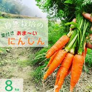 人参 8kg【期間限定】自然栽培の甘い 葉付き人参 京都府・亀岡産 かたもとオーガニックファームよりお届け 《訳あり サイズ不揃い にんじん 国産 京都産 栽培期間中農薬不使用 産地直送》 ※2025年1月～3月頃に順次発送 ※離島への発送不可