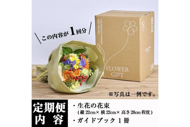 ＜定期便・6回(連続)＞季節のお楽しみブーケ(生花：Sサイズ)生花 お花 花束 フラワー 植物 贈り物 インテリア【FM-5】【フラワーショップまつだ】