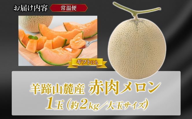 北海道 赤肉メロン 大玉 約2kg 1玉 メロン 赤肉 果物 フルーツ 甘い 完熟 スイーツ デザート 産直 国産 贈答品 お祝いギフト羊蹄山 JAようてい