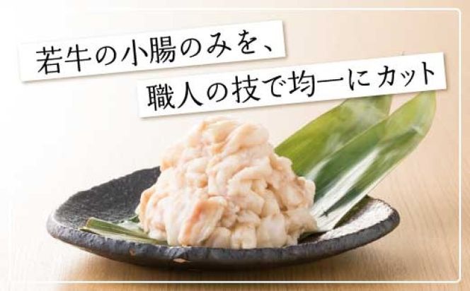 定期便 6回 もつ鍋 博多もつ鍋 おおやま しょうゆ味 3人前 希少 国産 若牛小腸のみ使用 プレミアムもつ鍋セット 福岡売上1位 モツ鍋 配送不可 離島 オリジナル 醤油 ぷりぷり 贈り物 