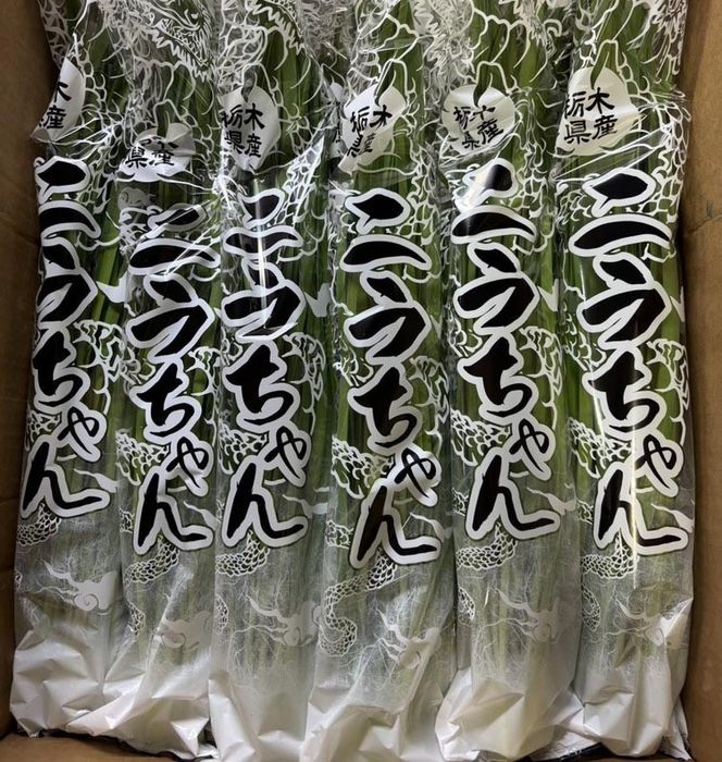 栃木県産こだわりニラ100g×10束 ｜ さくら市 にら 韮 野菜 国産