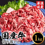 いちかわ精肉店「国産牛切り落とし」１ｋｇ 010AA08N.／堀田畜産 いちかわ精肉店 赤身 ヘルシー 牛肉 国産 bbq バーベキュー 焼肉 アウトドア キャンプ