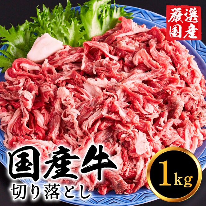 いちかわ精肉店「国産牛切り落とし」１ｋｇ 010AA08N.／堀田畜産 いちかわ精肉店 赤身 ヘルシー 牛肉 国産 bbq バーベキュー 焼肉 アウトドア キャンプ