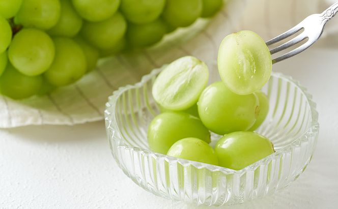 ぶどう 2026年 先行予約 シャイン マスカット 1房 約500g ブドウ 葡萄  岡山県産 国産 フルーツ 果物 ギフト