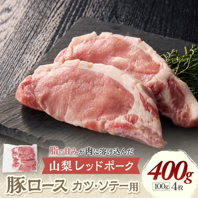 yRbszRbh|[N@JcE\e[p@Y-6