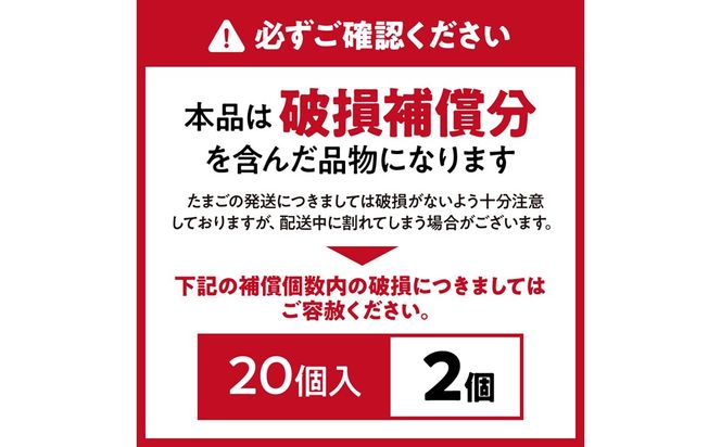 新鮮 赤卵「宗像たまご」Mサイズ 20個(18個＋補償2個) 【JAほたるの里】_HA2097 たまご 卵 赤卵 Mサイズ 福岡県宗像市 宗像市 福岡 宗像