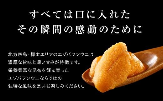 うに 極上 エゾバフンウニ 生うに 100g パック詰 | 雲丹 ウニ 高級 生ウニ 海産物 海鮮 ウニ丼 うに丼 人気 ふるさと納税 北海道 登別市