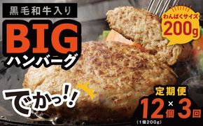 099Z412 【定期便】黒毛和牛入り BIGハンバーグ（200g×12個）全3回 【毎月配送コース】