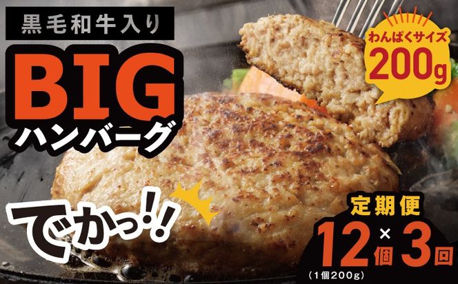 099Z412 【定期便】黒毛和牛入り BIGハンバーグ（200g×12個）全3回 【毎月配送コース】
