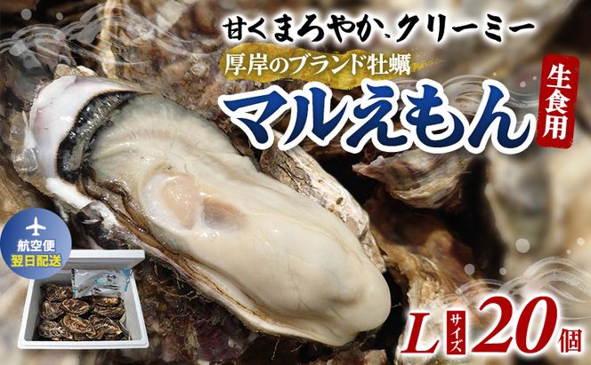 翌日配送 航空便 厚岸のブランド牡蠣 マルえもん Lサイズ 20個 [ 牡蠣 生食用 魚貝類 海鮮 海のミルク 国産 生食用殻付き牡蠣 まろやか クリーミー  牡蠣の酒蒸し 焼き牡蠣 マルえもん ]
