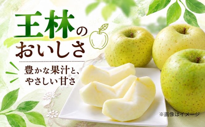 りんご 青森県産 サンふじ 王林 詰合せ セット 約 5kg (12～18玉） フルーツ 果物 ふじ 産地直送 お取り寄せ 送料無料 青森県 鰺ヶ沢町 《木村りんご園》
