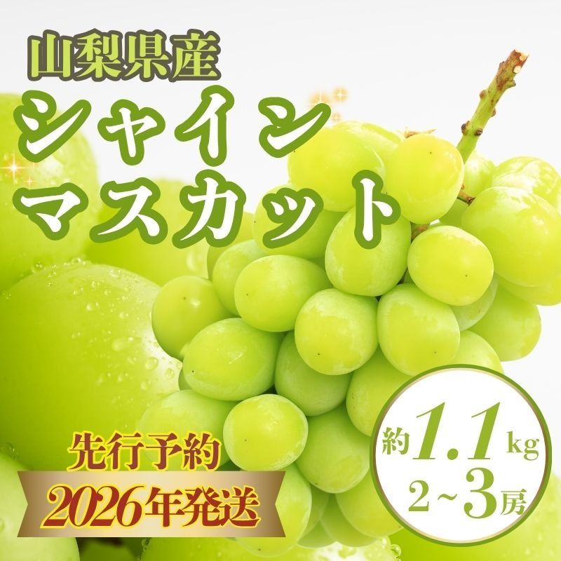 FB014[2026年 先行予約]今月のおススメ!山梨県産 シャインマスカット 1.1kg (2房〜3房)