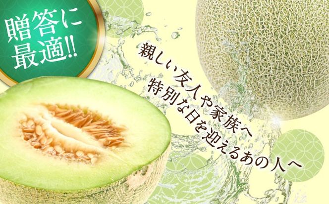 【2025年5月〜発送】【さわやかな味！ 】タカミメロン 2玉 (約 2kg) / メロン 南島原市 / 南島原果物屋 [SCV004]