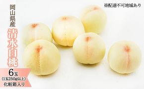 桃 2026年 先行予約 清水 白桃 6玉（1玉250g以上）化粧箱入り もも モモ 岡山県産 国産 フルーツ 果物 ギフト 