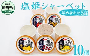塩姫シャーベット ５種詰め合わせセット 100ml×10個 柚子 文旦 トマト 生姜 小豆 ミネラル 田野屋塩二郎 天日塩 アイス あいす シャーベット 冷凍